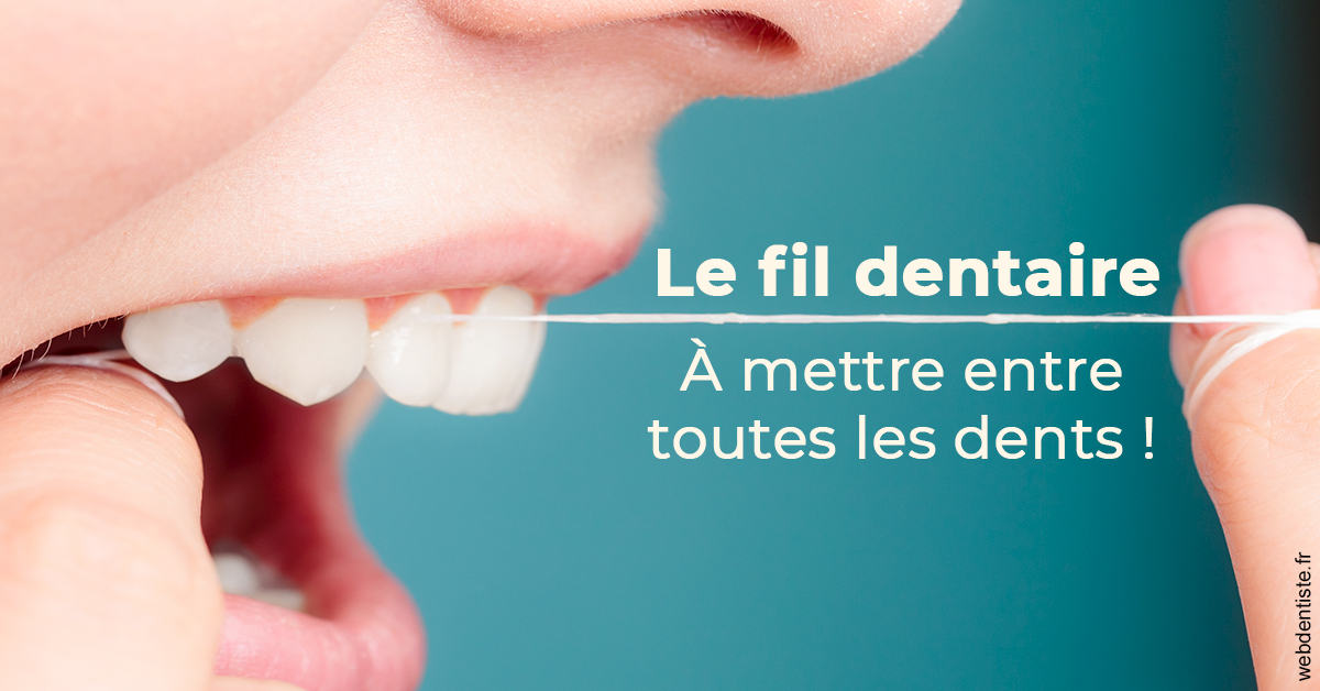 https://www.dentiste-pineau.fr/Le fil dentaire 2