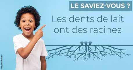 https://www.dentiste-pineau.fr/Les dents de lait 2