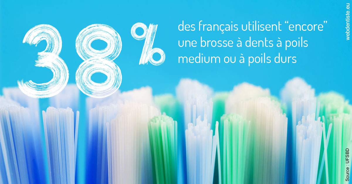 https://www.dentiste-pineau.fr/Brosse à dents poils 2