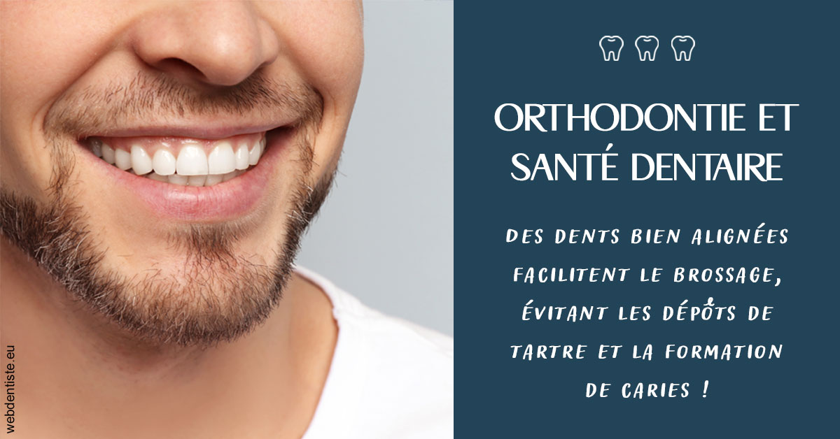 https://www.dentiste-pineau.fr/Orthodontie et santé dentaire 2