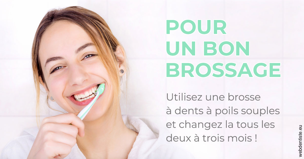 https://www.dentiste-pineau.fr/Pour un bon brossage 2