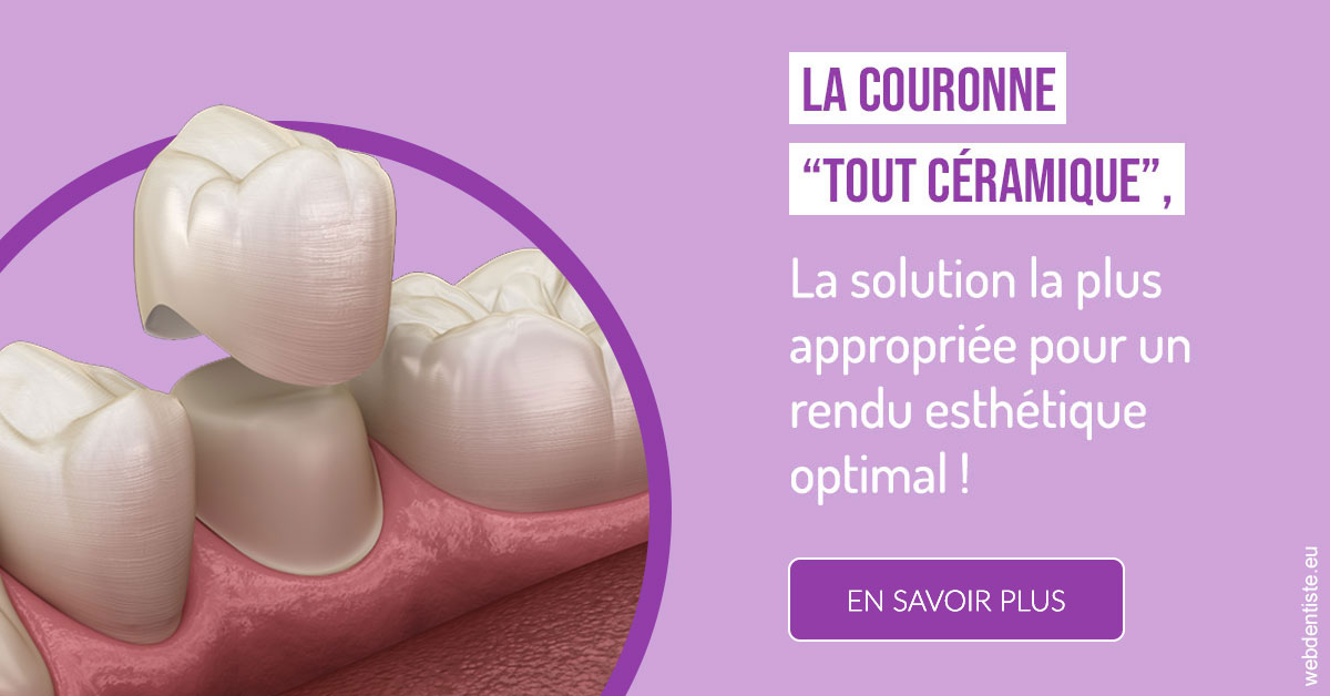 https://www.dentiste-pineau.fr/La couronne "tout céramique" 2