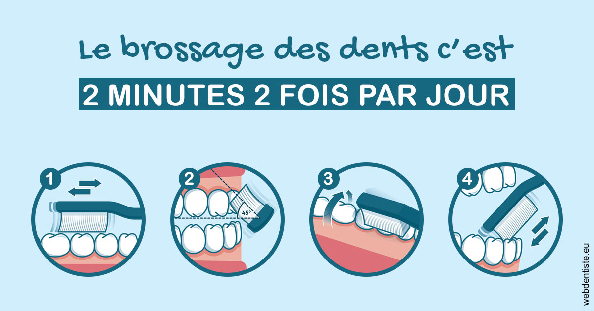 https://www.dentiste-pineau.fr/Les techniques de brossage des dents 1