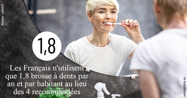https://www.dentiste-pineau.fr/Français brosses 2