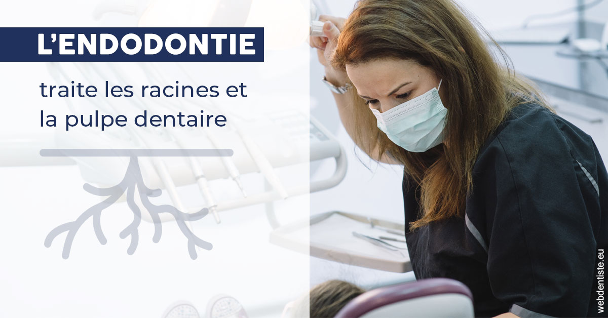 https://www.dentiste-pineau.fr/L'endodontie 1