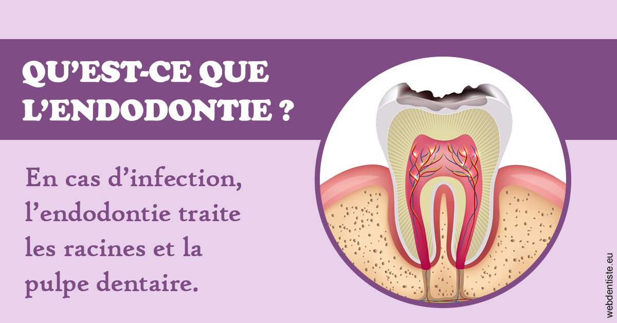 https://www.dentiste-pineau.fr/2024 T1 - Endodontie 02