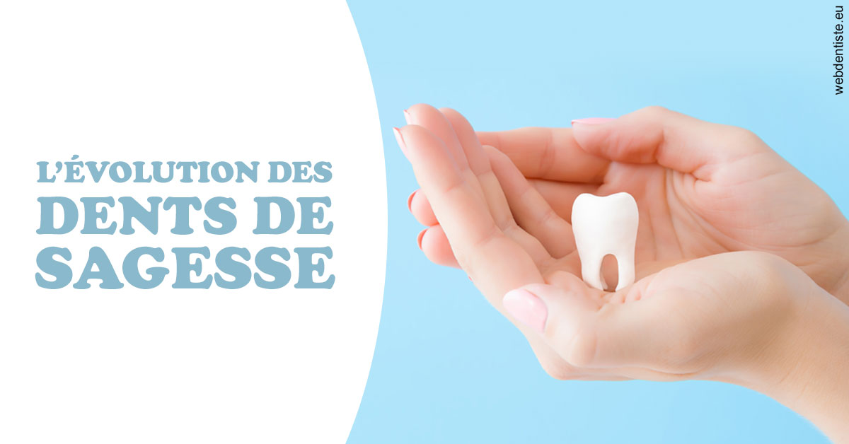 https://www.dentiste-pineau.fr/Evolution dents de sagesse 1