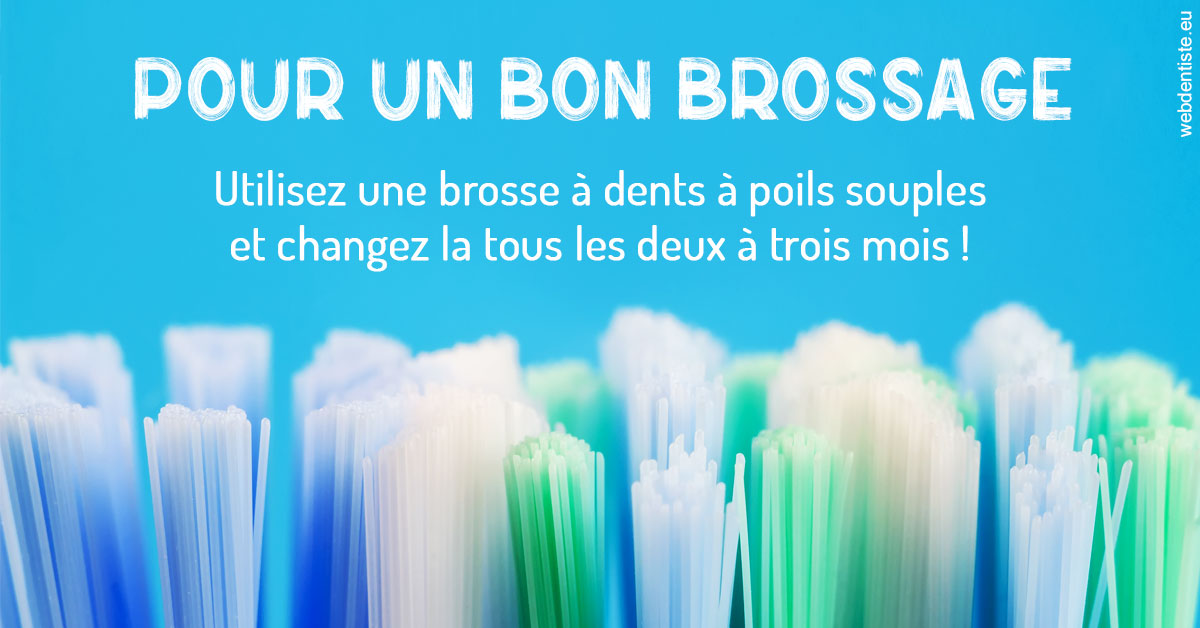 https://www.dentiste-pineau.fr/Pour un bon brossage 1
