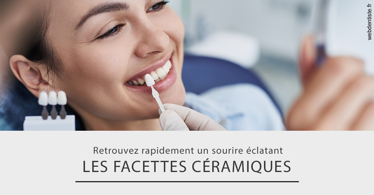 https://www.dentiste-pineau.fr/Les facettes céramiques 2