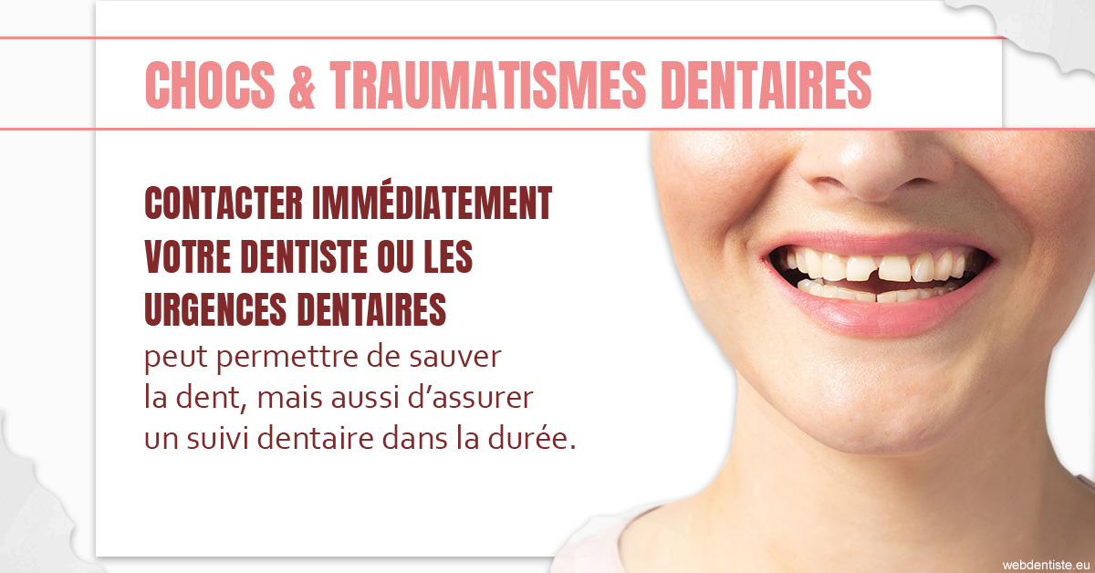 https://www.dentiste-pineau.fr/2023 T4 - Chocs et traumatismes dentaires 01
