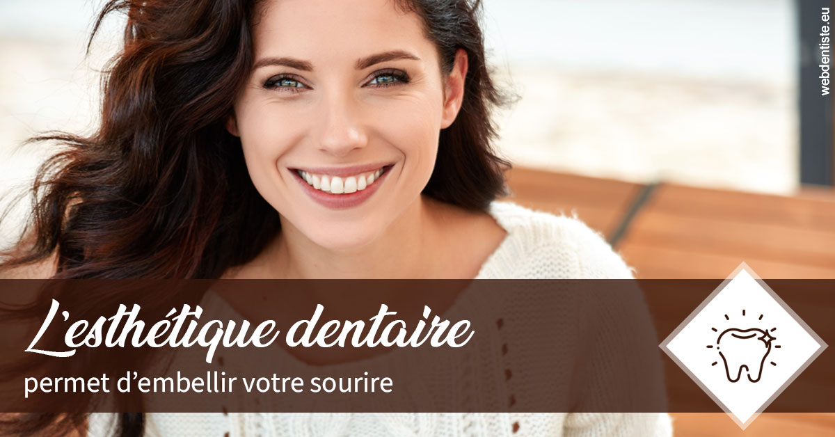 https://www.dentiste-pineau.fr/L'esthétique dentaire 2