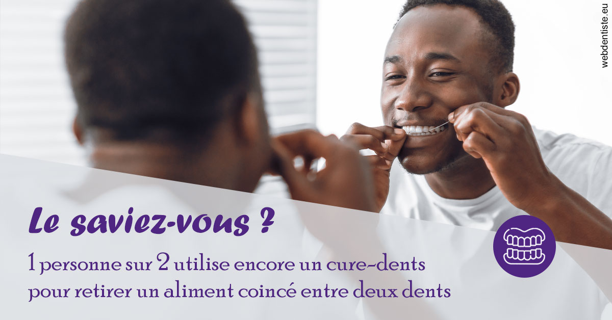 https://www.dentiste-pineau.fr/Cure-dents 2