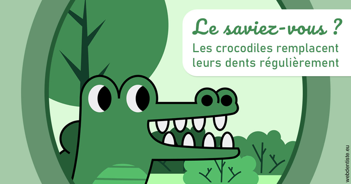 https://www.dentiste-pineau.fr/Crocodiles 2