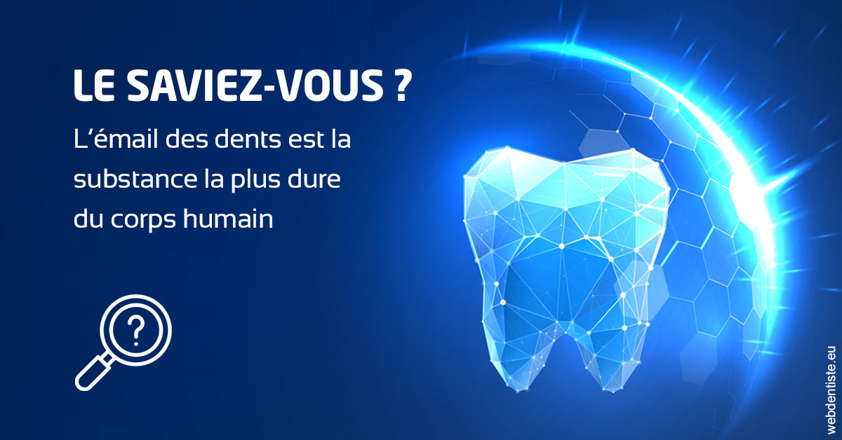https://www.dentiste-pineau.fr/L'émail des dents 1