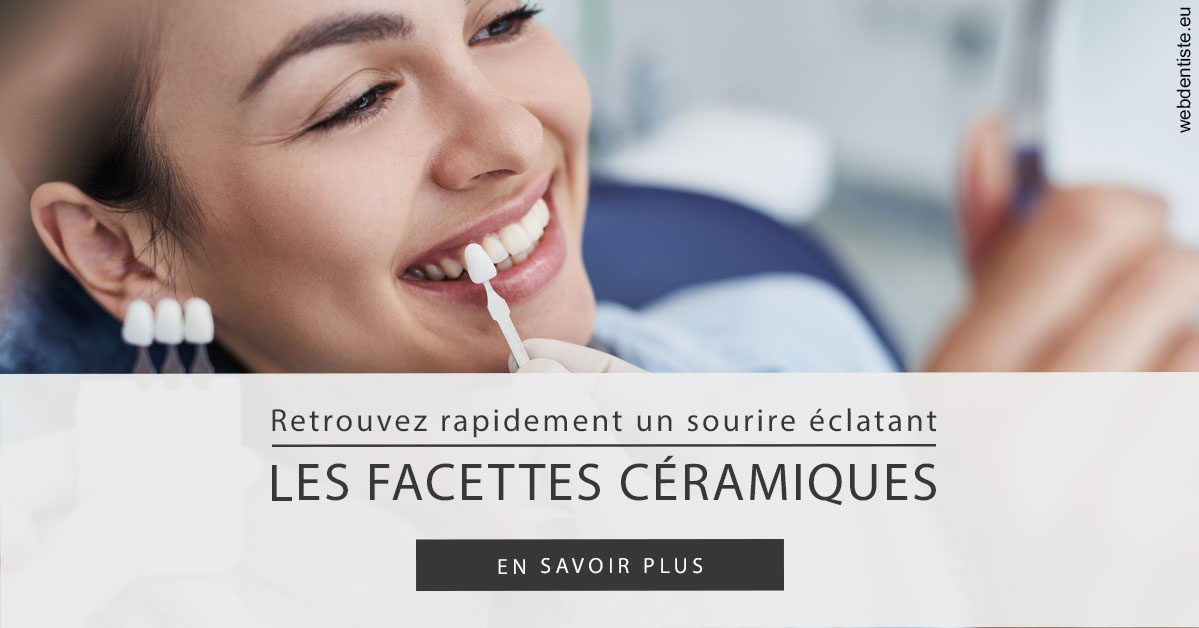 https://www.dentiste-pineau.fr/Les facettes céramiques 2