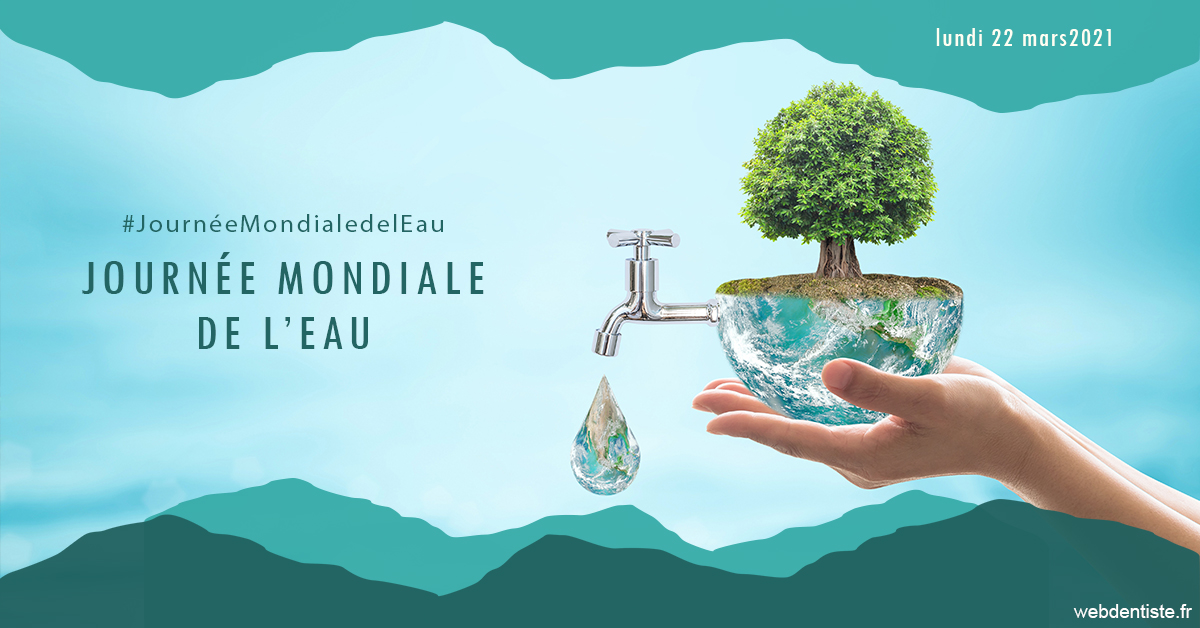 https://www.dentiste-pineau.fr/Journée de l'eau 1