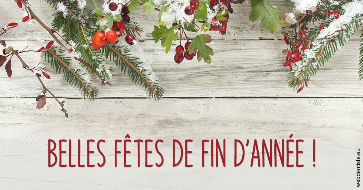 https://www.dentiste-pineau.fr/Joyeux Noël 2