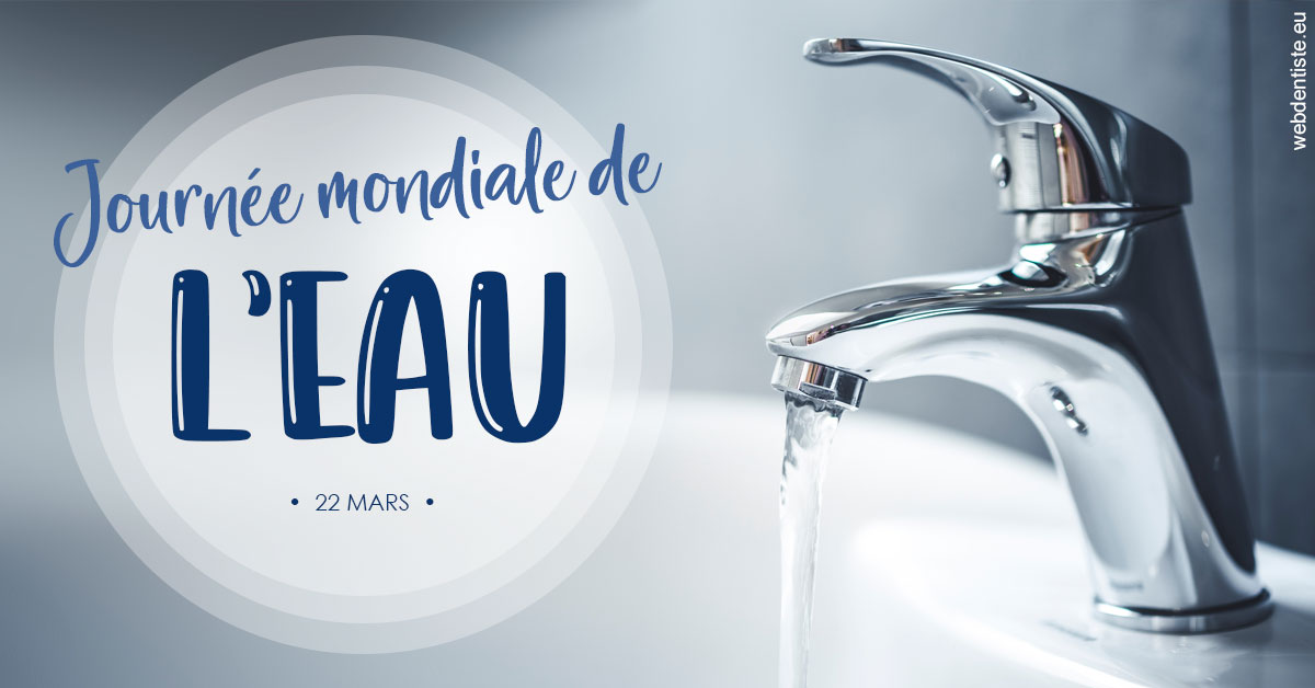 https://www.dentiste-pineau.fr/La journée de l'eau 2