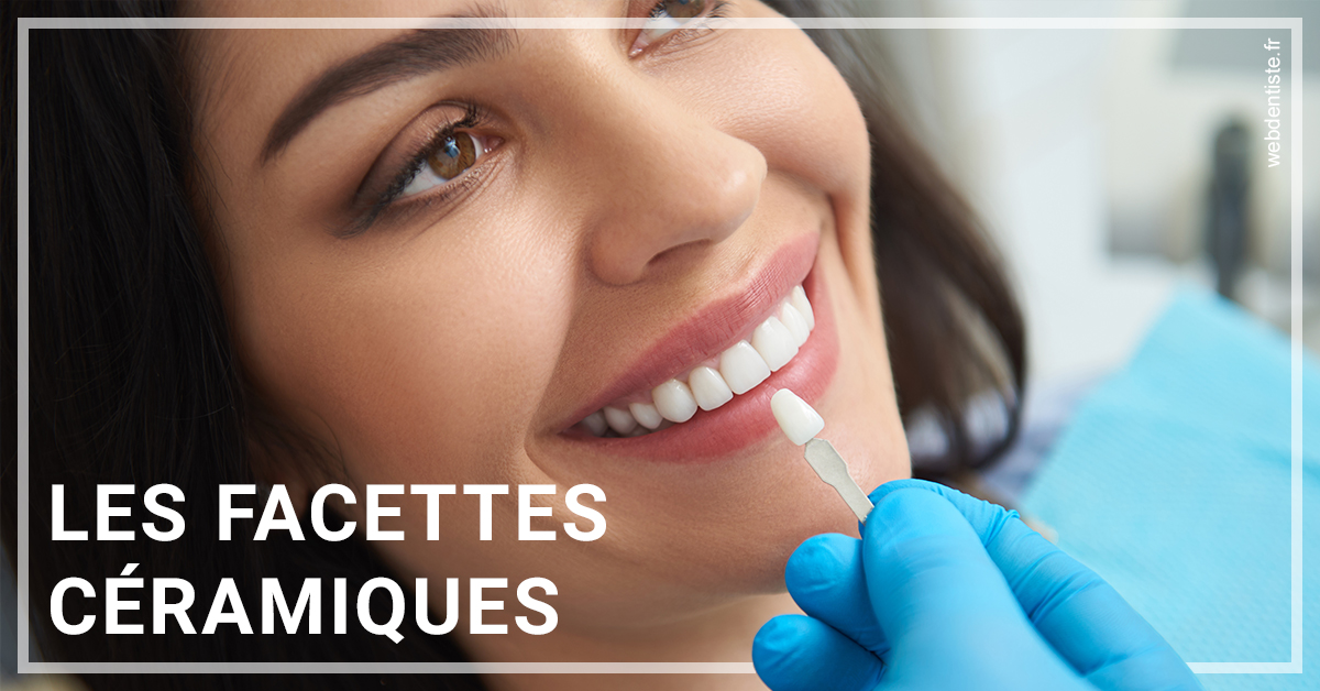 https://www.dentiste-pineau.fr/Les facettes céramiques 1