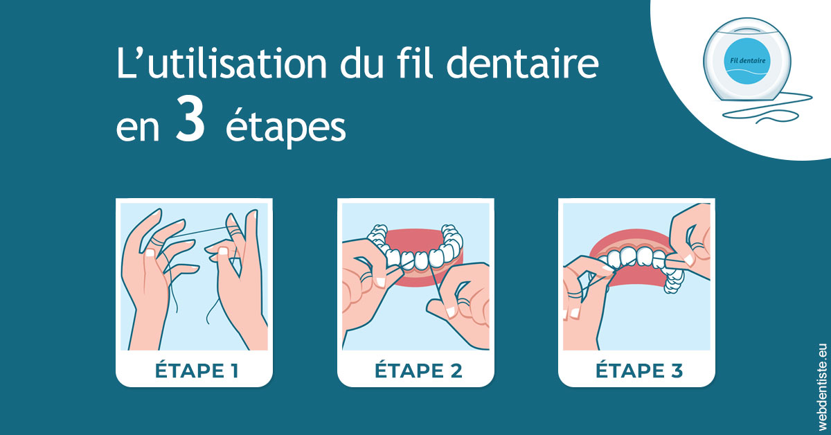 https://www.dentiste-pineau.fr/Fil dentaire 1