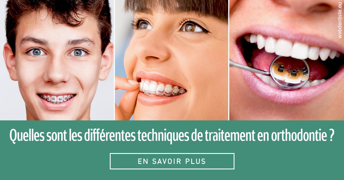 https://www.dentiste-pineau.fr/Les différentes techniques de traitement 2