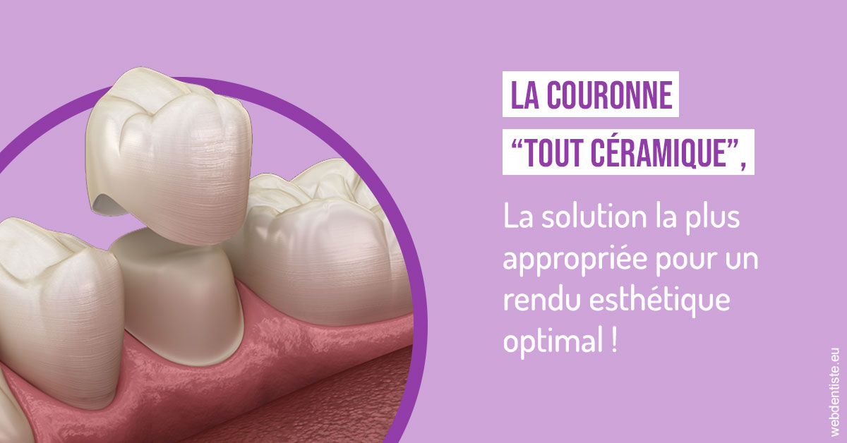 https://www.dentiste-pineau.fr/La couronne "tout céramique" 2