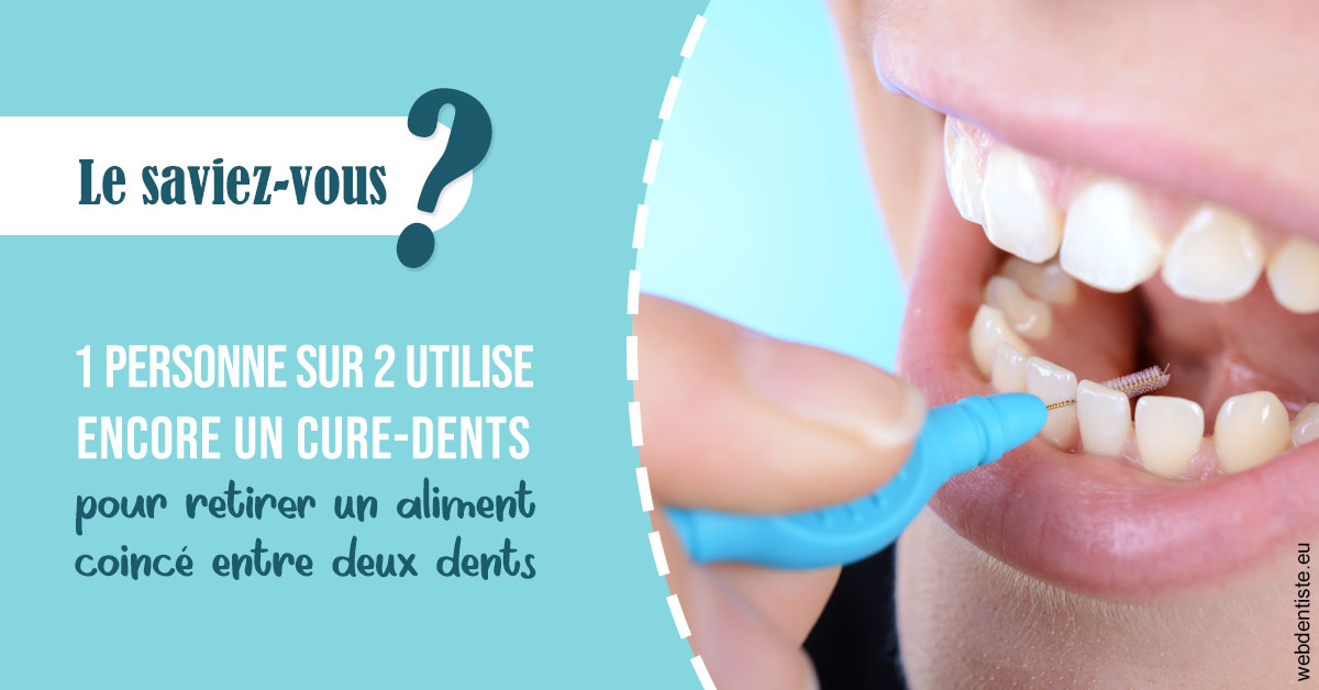 https://www.dentiste-pineau.fr/Cure-dents 1