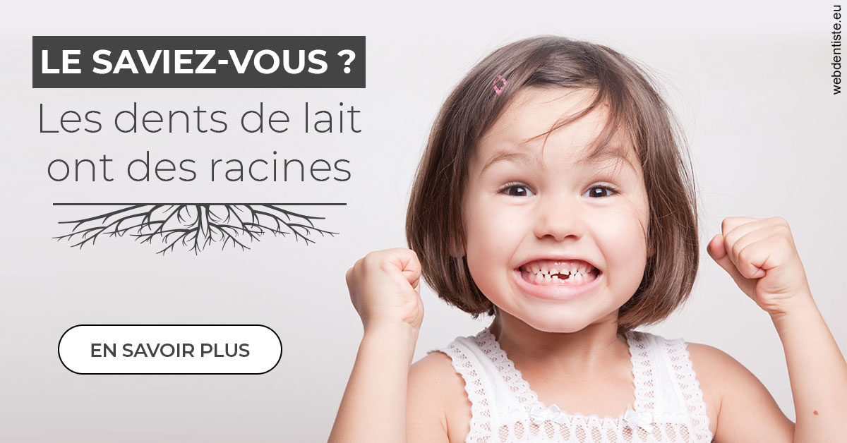 https://www.dentiste-pineau.fr/Les dents de lait