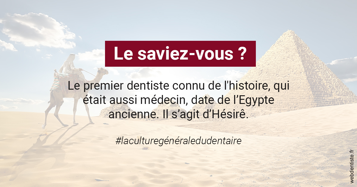 https://www.dentiste-pineau.fr/Dentiste Egypte 2
