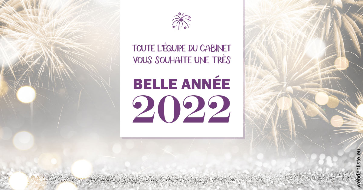 https://www.dentiste-pineau.fr/Belle Année 2022 2