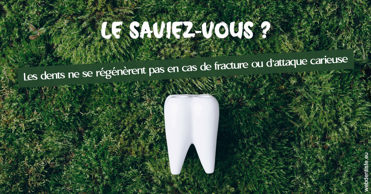 https://www.dentiste-pineau.fr/Attaque carieuse 1