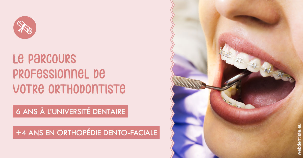 https://www.dentiste-pineau.fr/Parcours professionnel ortho 1