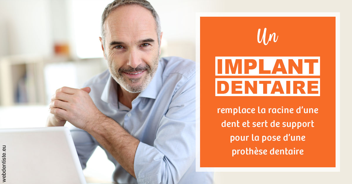 https://www.dentiste-pineau.fr/Implant dentaire 2
