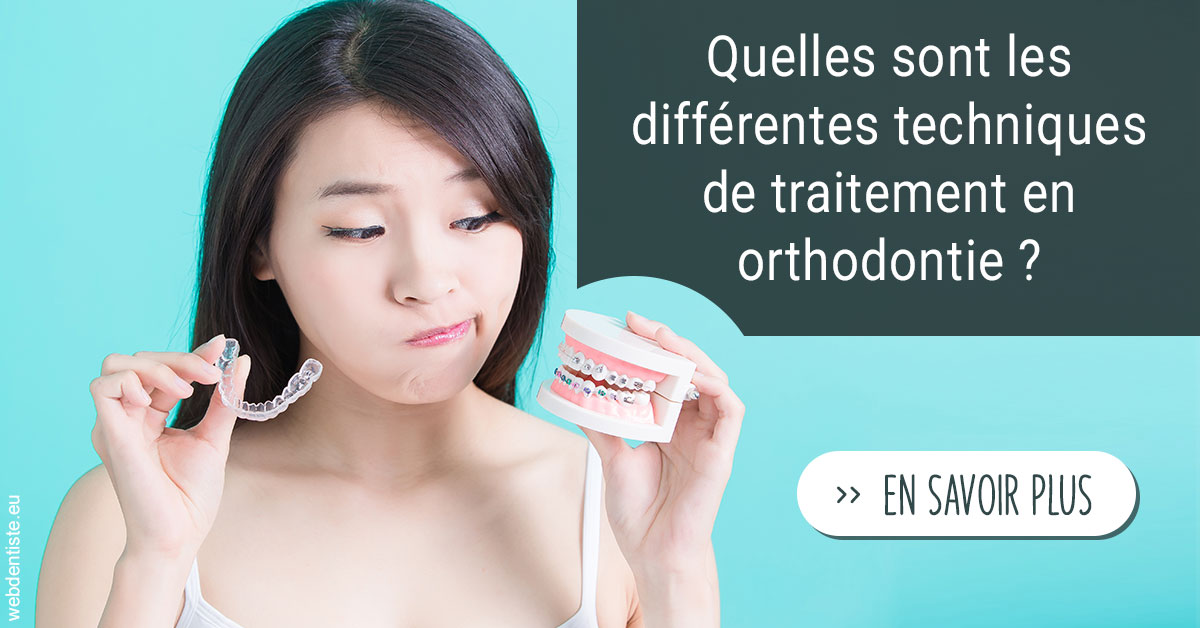 https://www.dentiste-pineau.fr/Les différentes techniques de traitement 1
