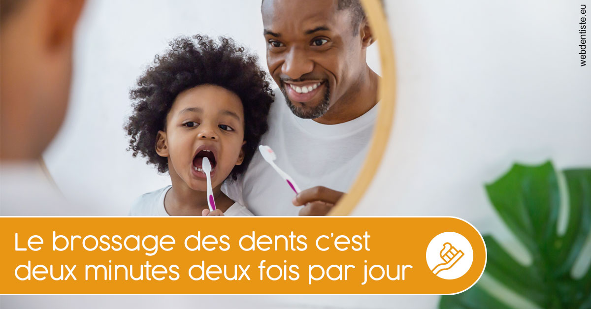 https://www.dentiste-pineau.fr/Les techniques de brossage des dents 2