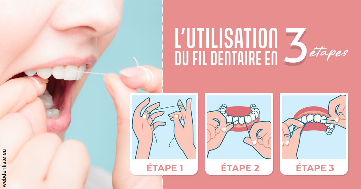 https://www.dentiste-pineau.fr/Fil dentaire 2
