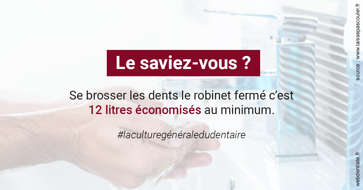 https://www.dentiste-pineau.fr/Economies d'eau 2