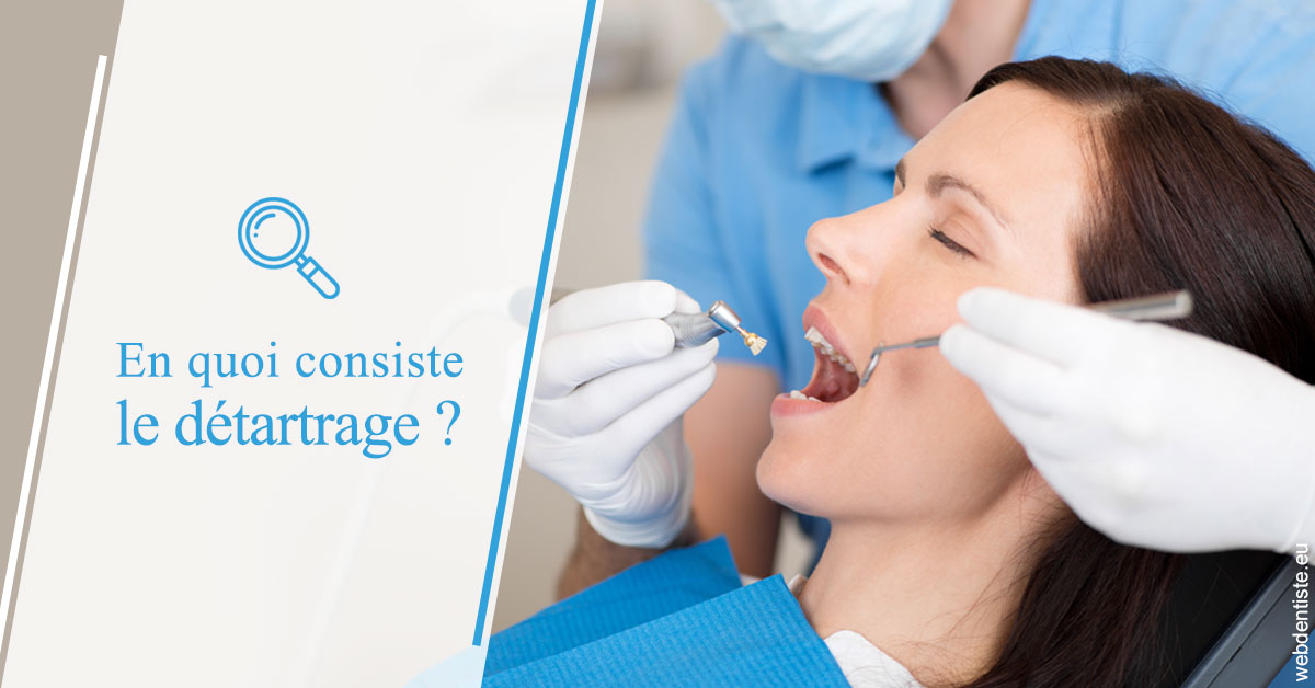 https://www.dentiste-pineau.fr/En quoi consiste le détartrage
