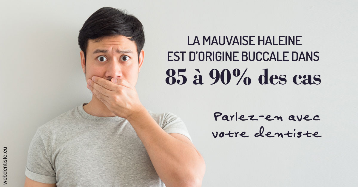 https://www.dentiste-pineau.fr/Mauvaise haleine 2