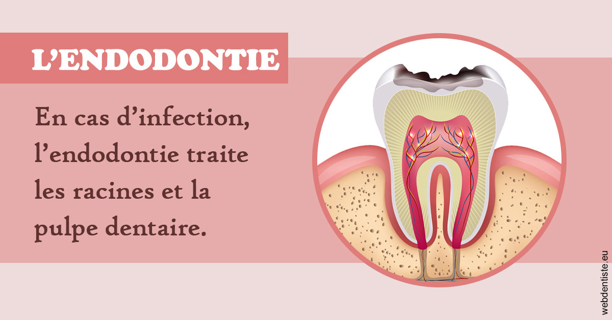 https://www.dentiste-pineau.fr/L'endodontie 2